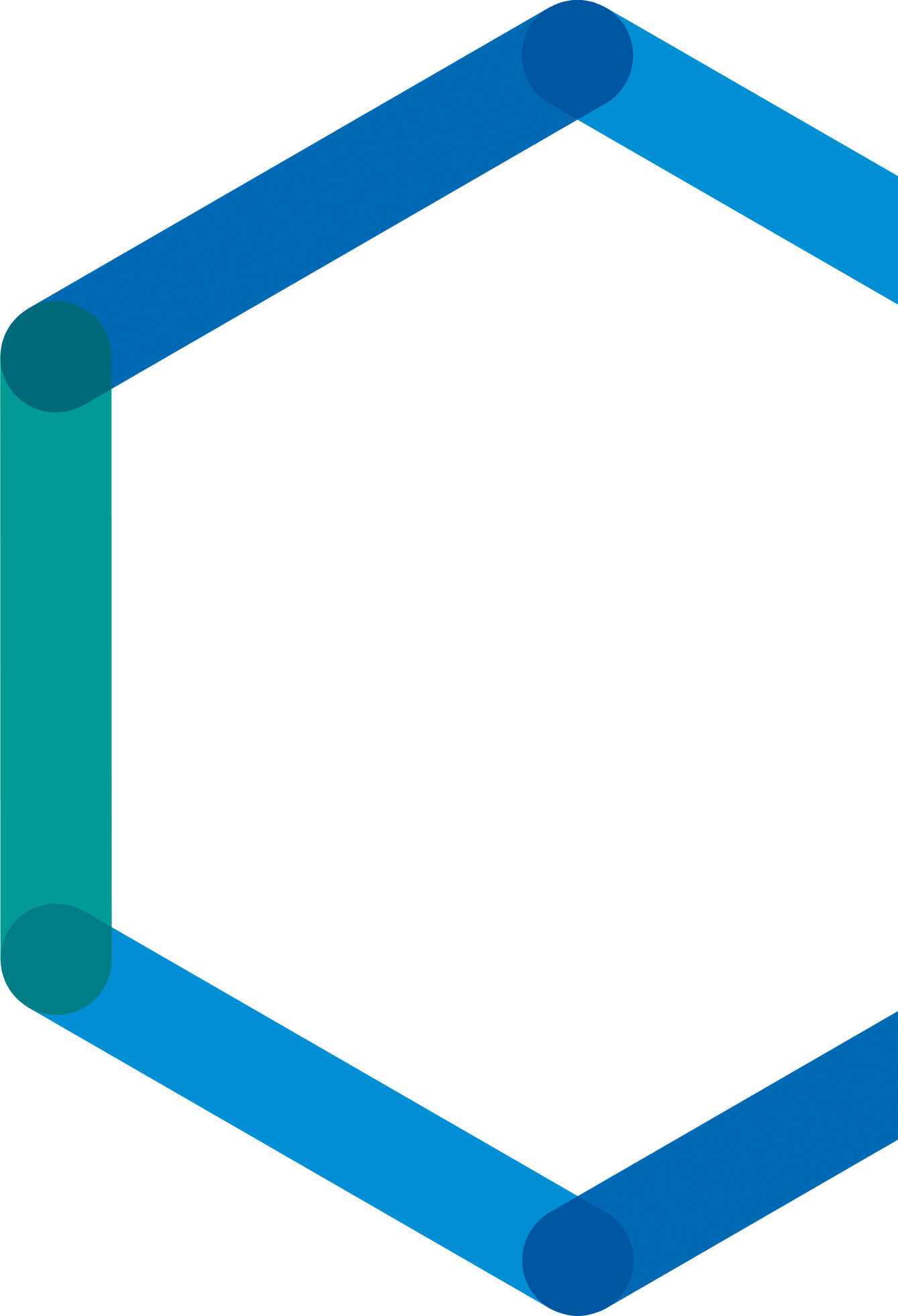 NanoXplore_Logo